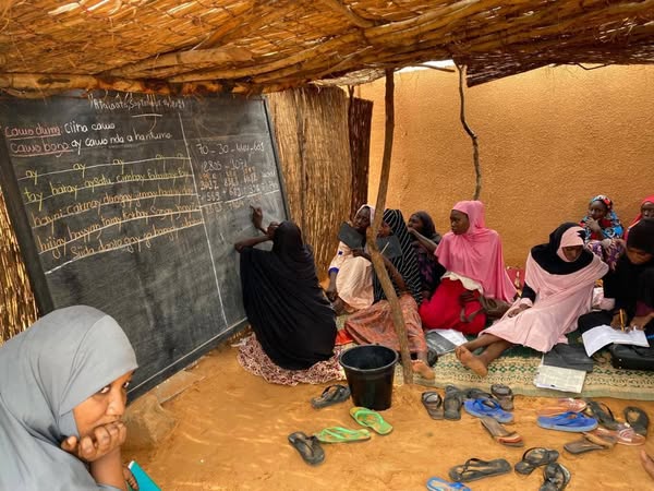 L’Initiative pour les Adolescentes du Niger, appelée « ILLIMIN ZAMAN DUNIA/ BURKINTAREY BAYREY : Le savoir pour la dignité »